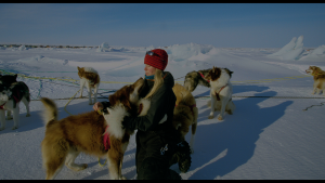 Wonders.of.the.Arctic.2014.HDR.UHD.BluRay.2160p.TrueHD.Atmos.7.1.HEVC.REMUX FraMeSToR.mkv snapshot 0